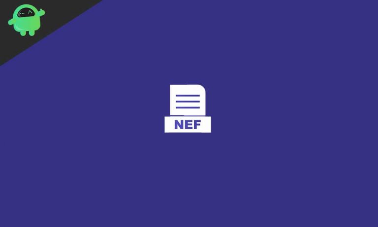 Что такое файлы NEF?  Как открыть файлы NEF в Windows 10?
