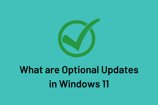 Что такое необязательные обновления в Windows 11 и как их установить