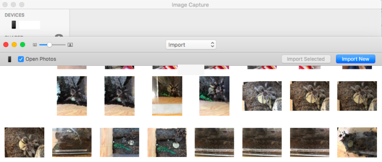 Как исправить захват изображения: ошибка 9937 на Mac